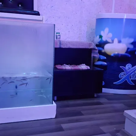 Hotel Kleopatra Togan 4*